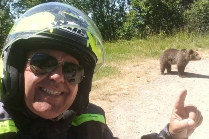 Ilustračný obrázok k článku Posledná selfie pred SMRŤOU: Motorkára ZABIL medveď! Chcel si spraviť fotku so šelmou