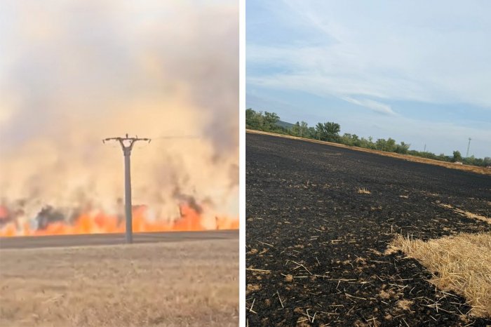 Ilustračný obrázok k článku Pri Červeníku HORELO pole! Plamene spôsobili škodu za DESIATKY tisíc eur