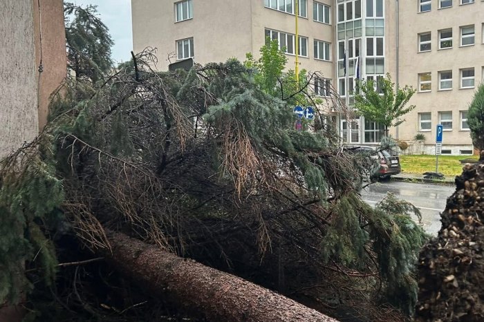 Ilustračný obrázok k článku MIMORIADNA situácia v Prešove: Mesto zasiahla SILNÁ búrka, vietor strhol stromy aj strechy