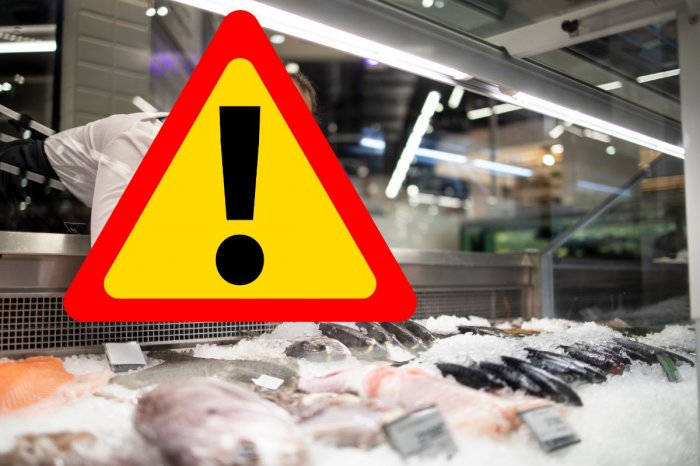 Ilustračný obrázok k článku Z predaja SŤAHUJÚ obľúbenú delikatesu: Odhalili v nej NEBEZPEČNÉ množstvo ortuti!