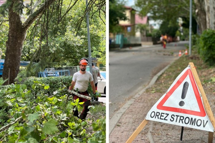 Ilustračný obrázok k článku Začalo sa s OREZOM desiatok stromov: Počítať treba aj s OBMEDZENÍM dopravy, FOTO