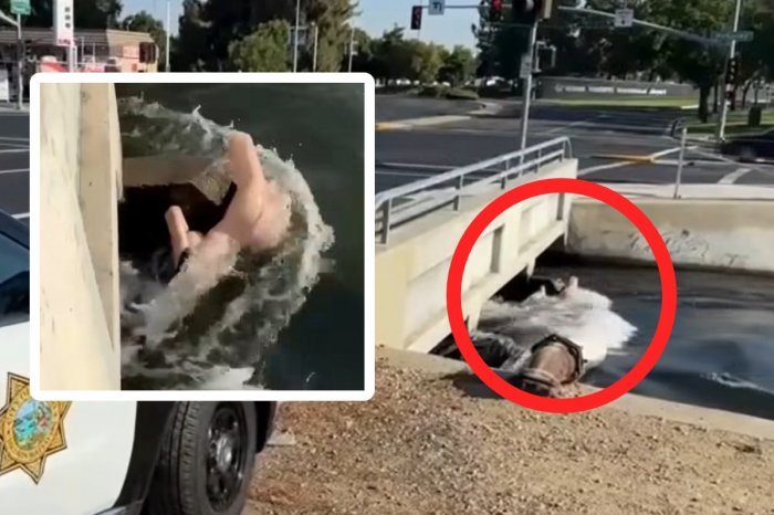 Ilustračný obrázok k článku BIZARNÁ záchrana: Polícii nahlásili MŔTVOLU v kanáli! Keď TO uvideli, museli sa REHOTAŤ