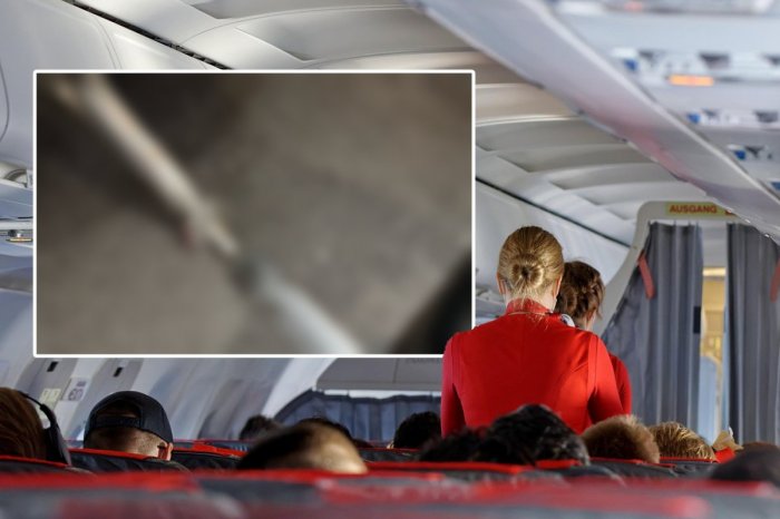 Ilustračný obrázok k článku Letuška odhalila nový NECHUTNÝ trend v lietadlách: FUJ! Ľudia sú ako PRASCE