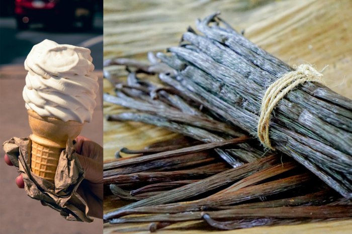 Ilustračný obrázok k článku Vanilka ako nedosiahnuteľný LUXUS? Hrozí, že si ju nebude môcť dovoliť takmer NIKTO