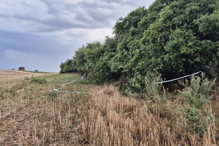 Ilustračný obrázok k článku HOROROVÝ nález neďaleko Topoľčian: V kríkoch našli ĽUDSKÉ kosti!