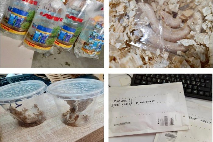 Ilustračný obrázok k článku Pošlite technika, box SMRDÍ: Zásielkovňa rieši ABSURDNÉ veci, ktoré posielajú Slováci