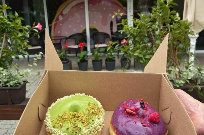 Ilustračný obrázok k článku Na Sekčove muž opakovane kradne kvety: Majiteľka je zúfalá, všetko pritom má na VIDEU