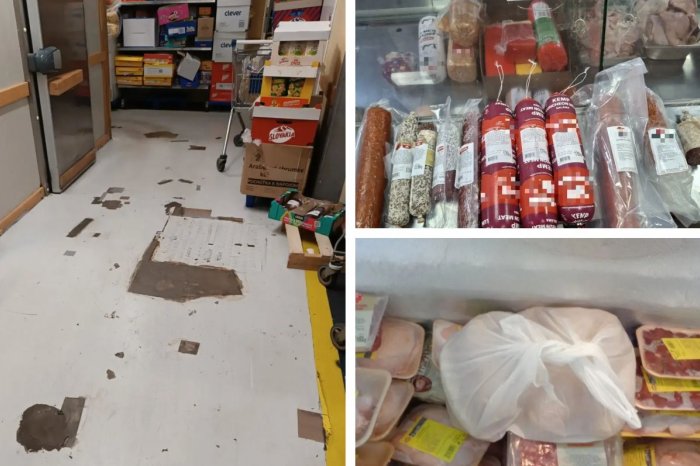 Ilustračný obrázok k článku NECHUTNÉ výsledky kontrol: V mäse objavili SALMONELU, v cukrovinkách SKRUTKY, FOTO