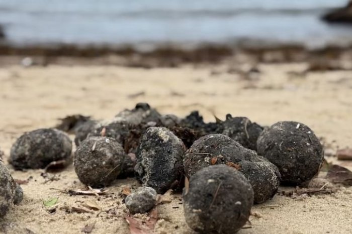 Ilustračný obrázok k článku ZÁHADNÉ gule sú späť: Austrálske pláže museli uzavrieť, ľudia sa ich nesmú dotýkať
