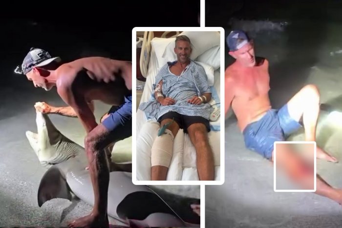 Ilustračný obrázok k článku Dramatické VIDEO: Muž sa fotil so ŽRALOKOM, stačila sekunda a všade tiekla KRV