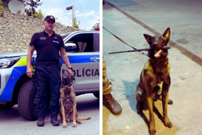 Ilustračný obrázok k článku Ricky verne ODSLÚŽIL 11 rokov pri polícii: Posledný deň v práci mal VÝNIMOČNÝ, FOTO