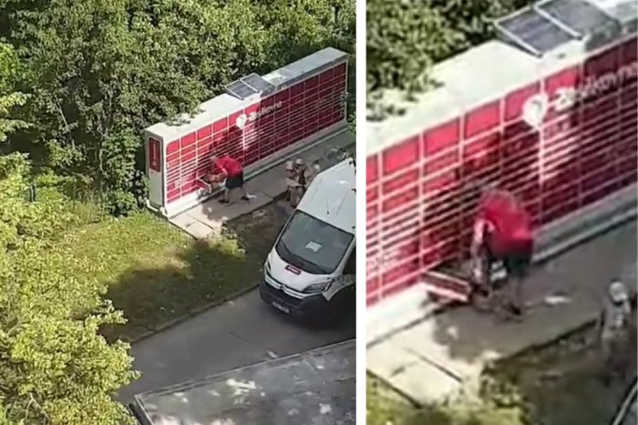 Ilustračný obrázok k článku VIDEO pripravilo kuriéra o prácu: Zachytilo ho, ako DUPAL po balíku!