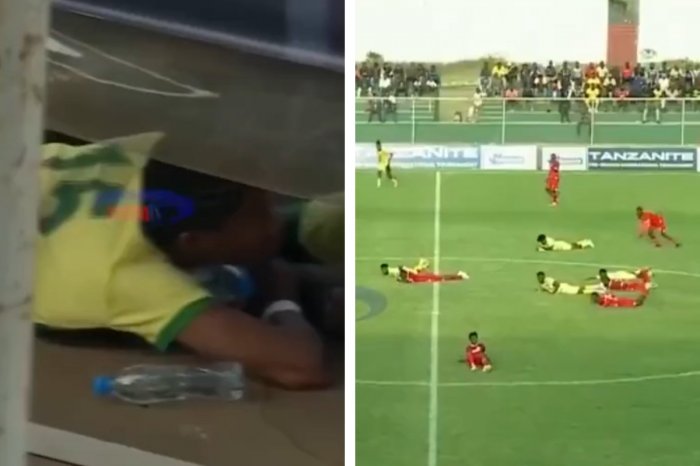 Ilustračný obrázok k článku Roj včiel prerušil futbalový zápas! Všetci ostali ležať, ukrývali sa aj POD lavičkou, VIDEO