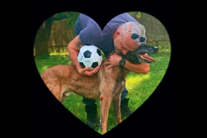 Ilustračný obrázok k článku PRÍBEH Rickyho DOJAL mnohých ľudí: Ako vyzerá DÔCHODOK policajného psa? VIDEO