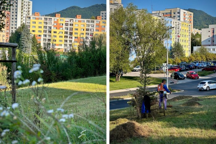 Ilustračný obrázok k článku PREČO sa niektoré miesta NEKOSIA tak často? ZAaRES prišiel s VYSVETLENÍM pre ľudí, FOTO