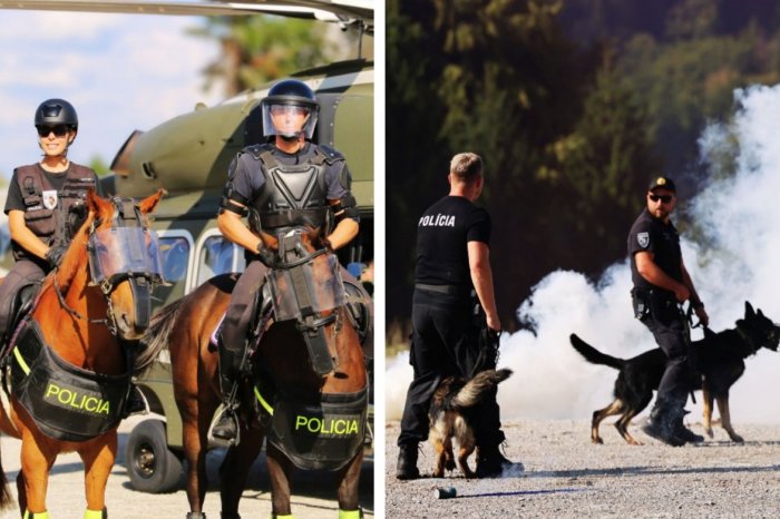 Ilustračný obrázok k článku Policajti CVIČILI so štvornohými kolegami: V teréne sa PREDVIEDLI psy aj kone, FOTO