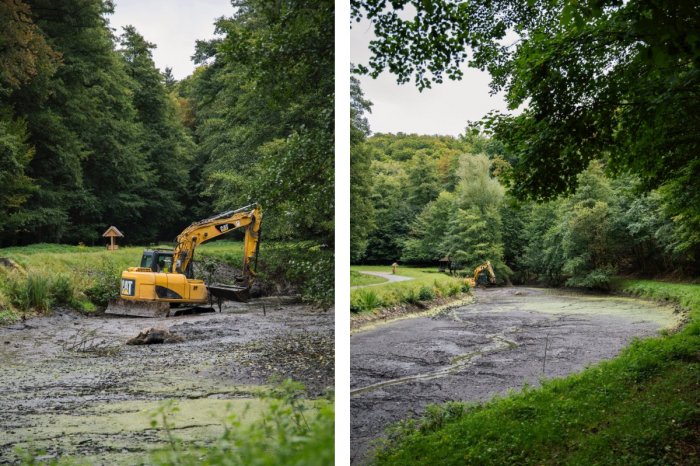 Ilustračný obrázok k článku V lesoparku VYPUSTILI jazierko: Zanieslo sa, musia ho VYČISTIŤ