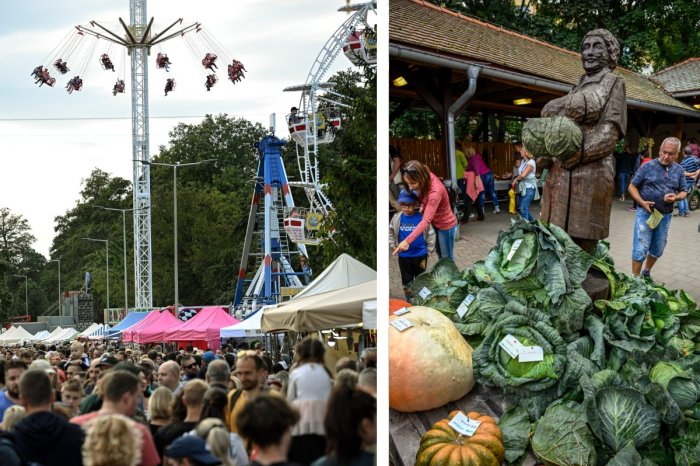 Ilustračný obrázok k článku Prichádzajú obľúbené DNI ZELÁ! Užite si parádny PROGRAM a využite posilové spoje