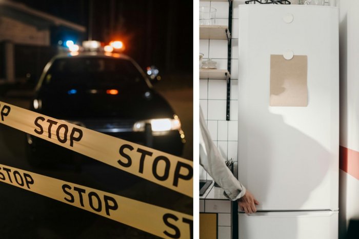 Ilustračný obrázok k článku ŠIALENÝ prípad: Mama 20 rokov ukrývala TELO svojej dcéry v mrazničke!