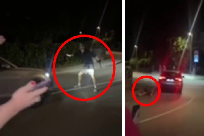 Ilustračný obrázok k článku DESIVÉ zábery z Istrie: Muž s PUŠKOU v ruke sa vrhal pred autá, jedno ho ZRAZILO