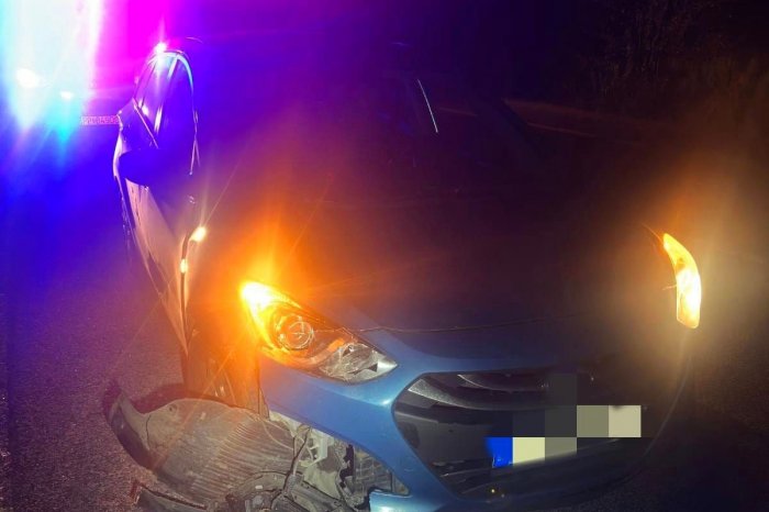 Ilustračný obrázok k článku HROZNÝ zážitok na východe: Vodič na ceste zažil stret s MEDVEĎOM!