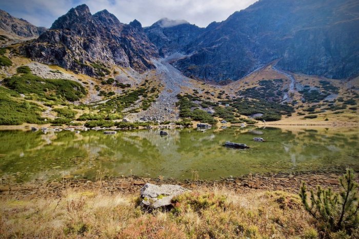 Ilustračný obrázok k článku Bez zásahu by zrejme NEPREŽILI: Z fontány v Tatranskej Lomnici zachraňovali chránené mloky