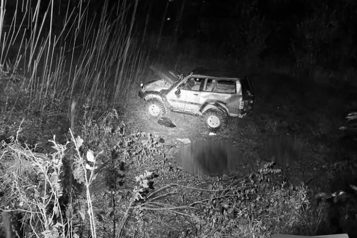 Ilustračný obrázok k článku Pri TRAGICKEJ nehode sa PREVRÁTILO auto: Spolujazdec ZAHYNUL zakliesnený pod ním