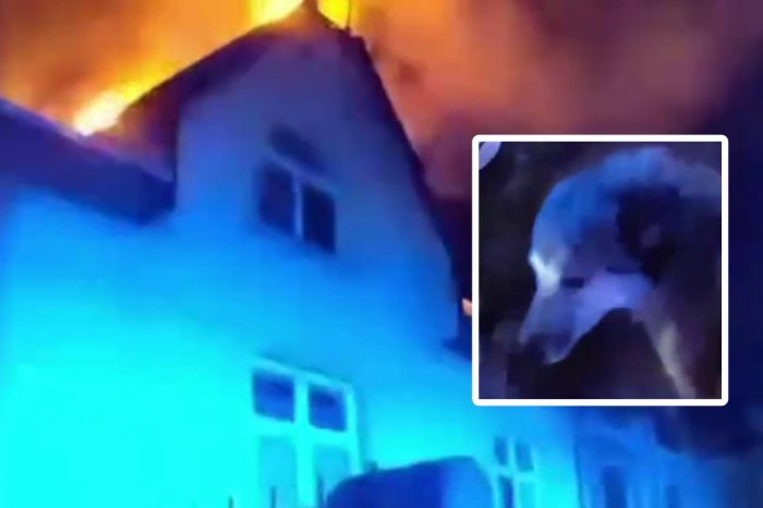 Ilustračný obrázok k článku Z policajtov sa stali HRDINOVIA: Z horiaceho domu ZACHRÁNILI manželov aj ich psa!