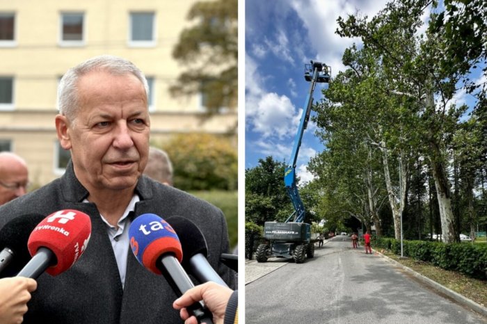 Ilustračný obrázok k článku Nosko: Park plánujeme ešte do konca roka UZAVRIEŤ a pristúpiť k nevyhnutným VÝRUBOM, FOTO