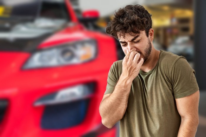 Ilustračný obrázok k článku SMRADĽAVÁ pomsta bývalému frajerovi: Lenka mu na auto natrela EXKREMENTY!