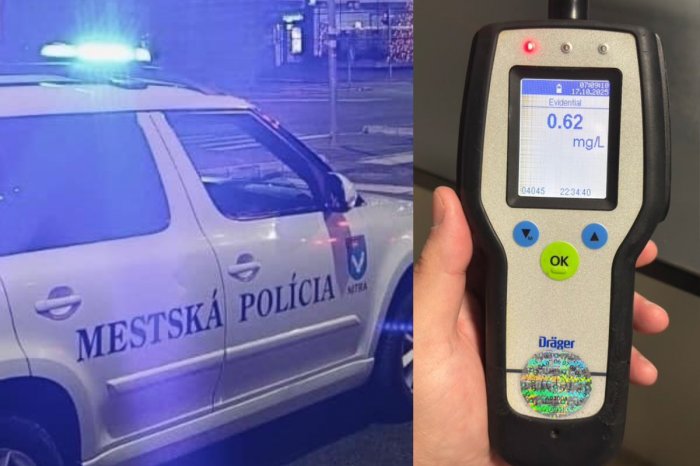 Ilustračný obrázok k článku Kamaráti niesli na rukách OPITÉ dievča (14)! Keď uvideli policajtov, nechali ju tam!