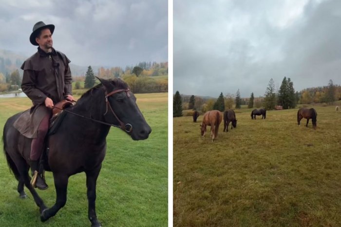 Ilustračný obrázok k článku Milovníkov KONÍ poteší NOVINKA: Otvoria ATRAKCIU, aká u nás nemá páru, VIDEO