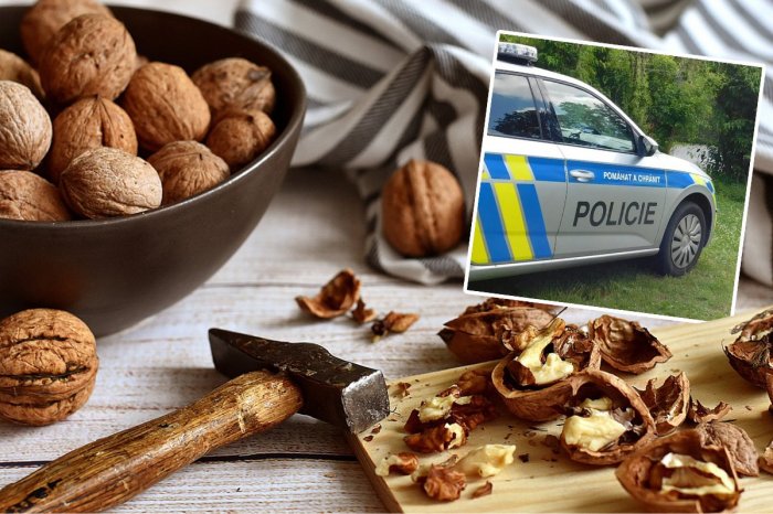 Ilustračný obrázok k článku Vystrašená susedka zavolala POLICAJTOV! Za všetko mohli prípravy na VIANOCE