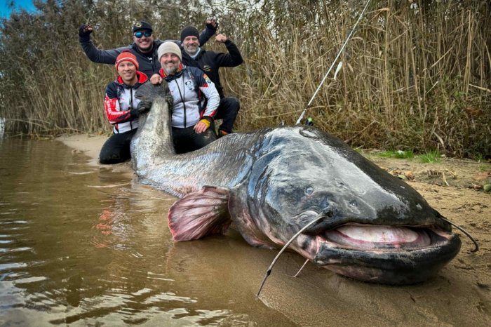 Ilustračný obrázok k článku V Poľsku chytili SEN každého rybára! Gigantický sumec stanovil nový SVETOVÝ rekord