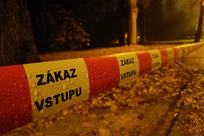 Ilustračný obrázok k článku Na stromy v UZAVRETOM parku si posvietia odborníci: Spracúvajú NEZÁVISLÉ posúdenie, tvrdí mesto