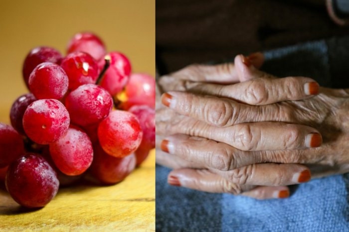 Ilustračný obrázok k článku Prípad, ktorý vyvolal BÚRKU! Babička chcela darovať potraviny, dostala POKUTU