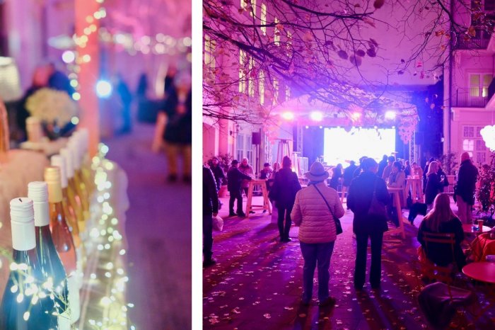 Ilustračný obrázok k článku Toto si nemôžete nechať ujsť! Blíži sa ďalší ročník Festivalu mladého vína