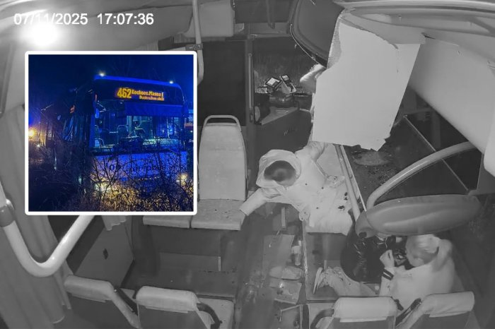 Ilustračný obrázok k článku Ukázali VIDEO z nárazu autobusu do stromu: ŠIALENÉ! Cestujúci lietali vzduchom