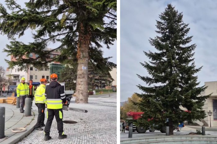 Ilustračný obrázok k článku Prvý sa ZLOMIL, druhý pokus už vyšiel: Námestie v Nitre zdobí VIANOČNÝ stromček