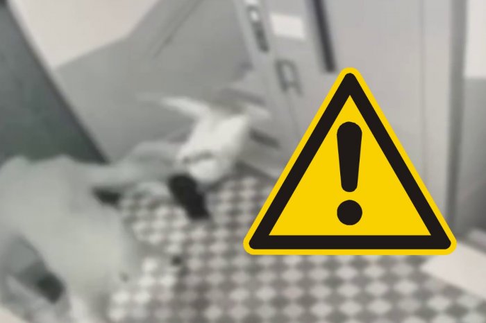 Ilustračný obrázok k článku Policajti zverejnili VIDEO ohavného útoku: Zlodej BRUTÁLNE napadol babičku (87)!