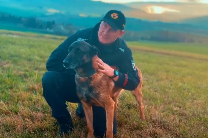 Ilustračný obrázok k článku DOJÍMAVÉ momenty zachytené na VIDEU: Štvornohý HRDINA Max odchádza do dôchodku