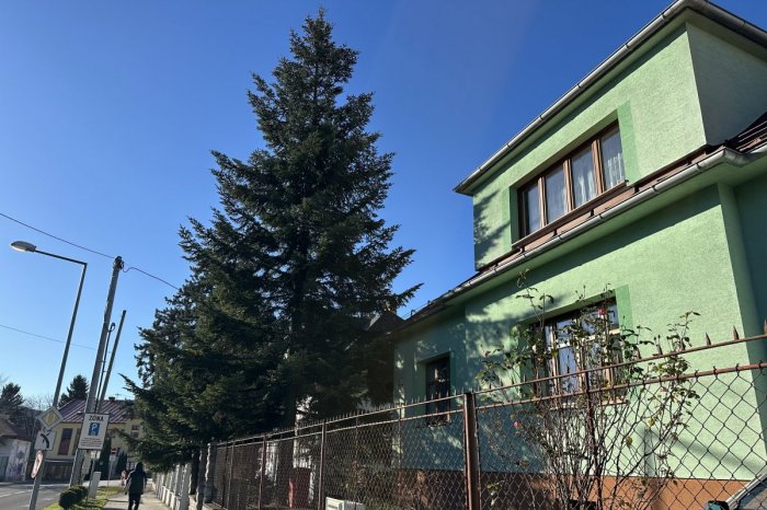 Ilustračný obrázok k článku Symbol VIANOC mieri na námestie: Putovanie STROMČEKA spôsobí hneď niekoľko OBMEDZENÍ