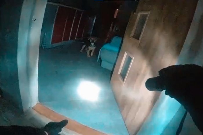 Ilustračný obrázok k článku Vypukol POŽIAR, no policajt neváhal: Po PSÍKA sa vrátil aj do ZADYMENÉHO domu, VIDEO