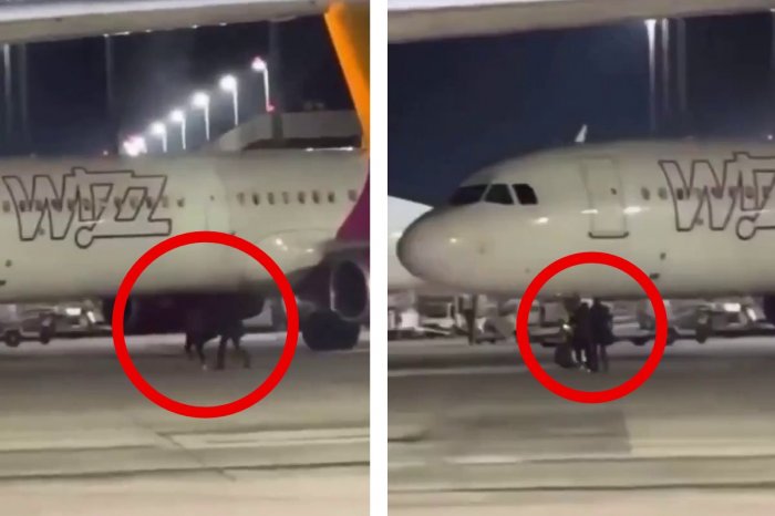 Ilustračný obrázok k článku ŠIALENSTVO! Zmeškali nástup: Vybehli na plochu a snažili sa ZASTAVIŤ lietadlo