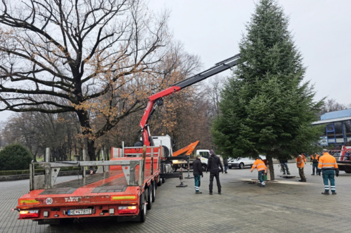 Ilustračný obrázok k článku Krásny príbeh z Humenného: Splnili posledné želanie pána Cyrila s vianočným stromčekom