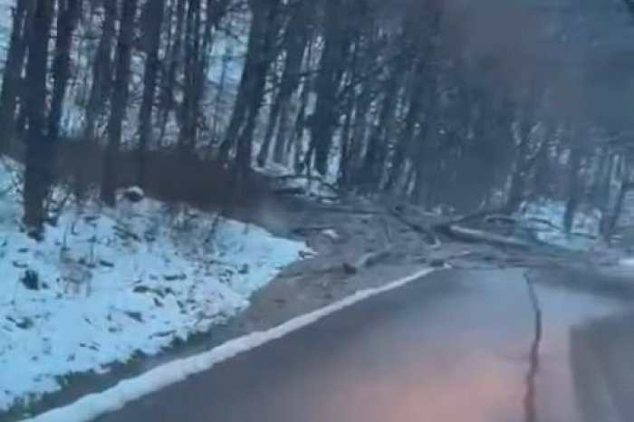 Ilustračný obrázok k článku Hrozivé zábery z ďalšej UZAVRETEJ cesty! Skončila pod BAHNOM a stromami, VIDEO