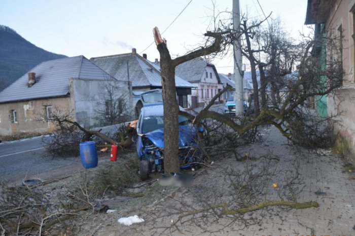 Ilustračný obrázok k článku DESIVÝ pohľad na následky nehody: Vodička ČELNE narazila do stromu, FOTO