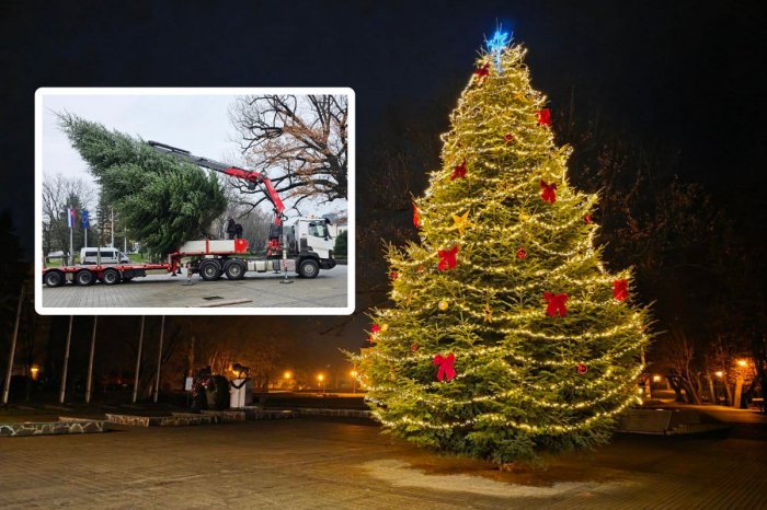 Ilustračný obrázok k článku DOJÍMAVÝ príbeh vianočného stromčeka v Humennom: Je splneným POSLEDNÝM prianím!