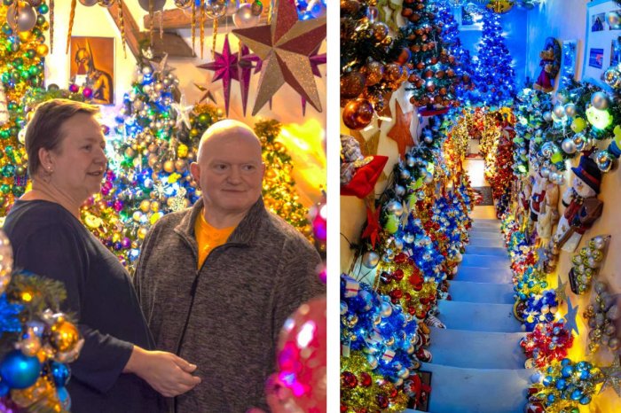Ilustračný obrázok k článku Manželia stanovili svetový REKORD! Doma majú 621 vianočných stromčekov, FOTO