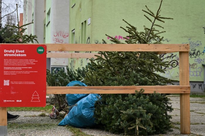 Ilustračný obrázok k článku V Bratislave osadia 730 ohrádok: Starým vianočným stromčekom vdýchnu nový zmysel